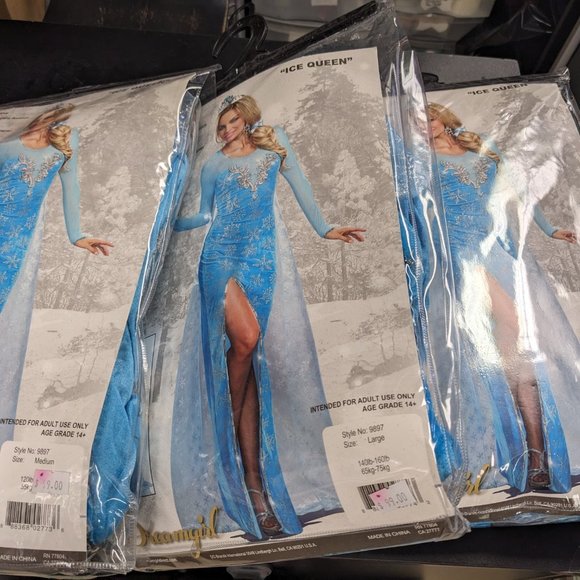 Adult Elsa Costume 9897 Dreamgirl Ice Queen boutique closing sale NWT - Picture 2 of 2